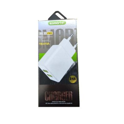 Chargeur SMARTEL 2.4A + cable Type C – TB-019A